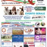 CISTERNAExpoCanina_locandina