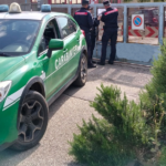 ITRI | Animali incustoditi invadono terreni privati: denunciati i proprietari di un’azienda agricola