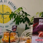 ROMA | “La Mimosa di Adelmo” e LaSpes: un gesto semplice per aiutare le mamme e la ricerca