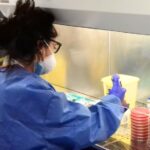 ROMA | Tecnici di laboratorio biomedico, la Federazione chiede più tutele nel nuovo contratto sanità