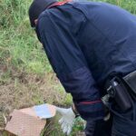 CORI | Rifiuti abbandonati sul territorio: quattro responsabili identificati attraverso documenti e buste