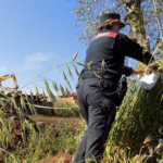 APRILIA | Opere abusive in area vincolata: sequestrati 1000 metri di quadrati di terreno