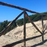 SABAUDIA | Lungomare: proseguono i lavori per la salvaguardia del litorale