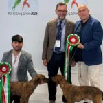 ITRI | L’allevamento Di Campello trionfa ai Mondiali di Bologna, due titoli iridati e l’orgoglio della Regione Lazio
