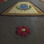 APRILIA | Anche l’Associazione Nazionale della Polizia di Stato di Nettuno all’Infiorata 2026
