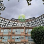 ROMA | Peste suina africana, ordinanza della Regione Lazio: quattro positività a Riano