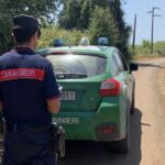 CORI | Potature irregolari sotto l’elettrodotto, sanzioni della Forestale per oltre 800 euro