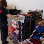 APRILIA | Frutta scaduta e senza tracciabilità: sequestrati dai Carabinieri oltre due quintali di prodotti