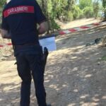 TERRACINA | Realizza una strada vicino al Canale Canneto senza autorizzazioni, denunciato dai Carabinieri Forestali