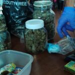 Operazione antidroga tra Udine, Trieste e Gorizia: 24 misure cautelari e sequestri di droga e armi