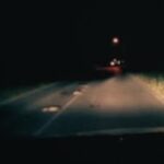 SABAUDIA | Fauna selvatica investita sulle strade, Circe APS lancia “Wildlife Matters”