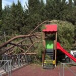 ROMA | Albero crolla sullo scivolo di un parco giochi, Santori: “Tragedia sfiorata”