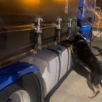 ROMA | Oltre 85 chili di droga nascosti nel doppiofondo di un tir: arrestato autotrasportatore al porto