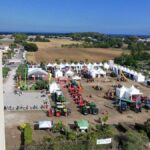 SAN FELICE CIRCEO | Sagra dello Zucchino: due giorni tra degustazioni, incontri e spettacoli