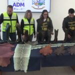 ROMA | Pitone, squalo e coccodrillo trasformati in articoli griffati: scoperto a Fiumicino un traffico internazionale di accessori di lusso vietati