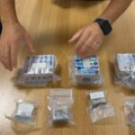 ROMA | Oltre 2,6 chili di droga nascosti in una borsa frigo, arrestata una donna