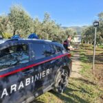 FONDI-LT_DENUNCIATI-PER-REALIZZAZIONE-OPERE-EDILIZIE-ABUSIVE