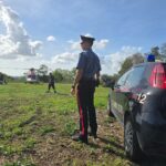 SEZZE-–-SI-ALLONTANA-DA-CASA.-RINTRACCIATO-E-TRATTO-IN-SALVO-DAI-CARABINIERI-E-DAI-VIGILI-DEL-FUOCO.-2