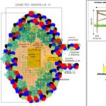 progetto microforesta